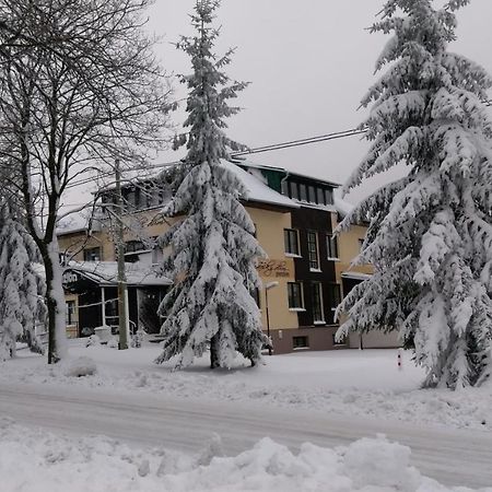 Penzion Svycarsky Dum Sneznik Экстерьер фото